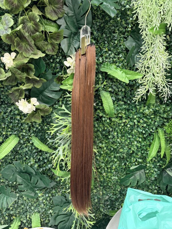 EXTENSION WS/06 2b/30